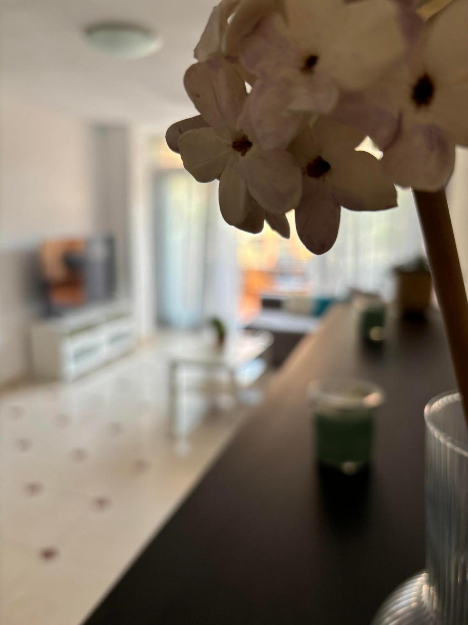 Piso Centrico Con Parking Privado Y Terraza Super Appartement